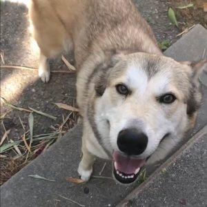 Meet your Posher, Joseph